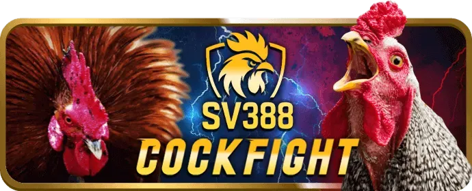 Hướng dẫn đăng nhập k89bet cho người mới